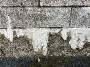 エフロ　白華現象
