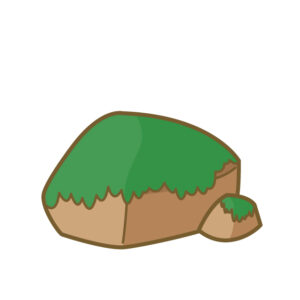 コケ　カビ