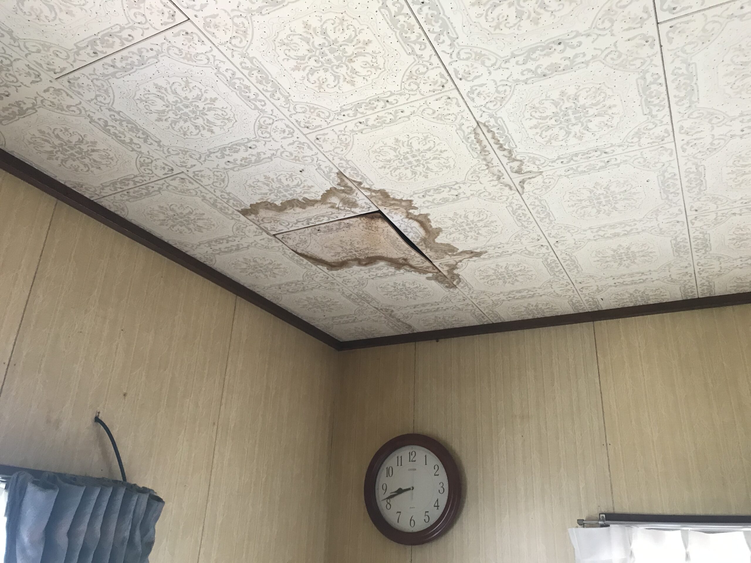 雨漏り　シミ　梅雨