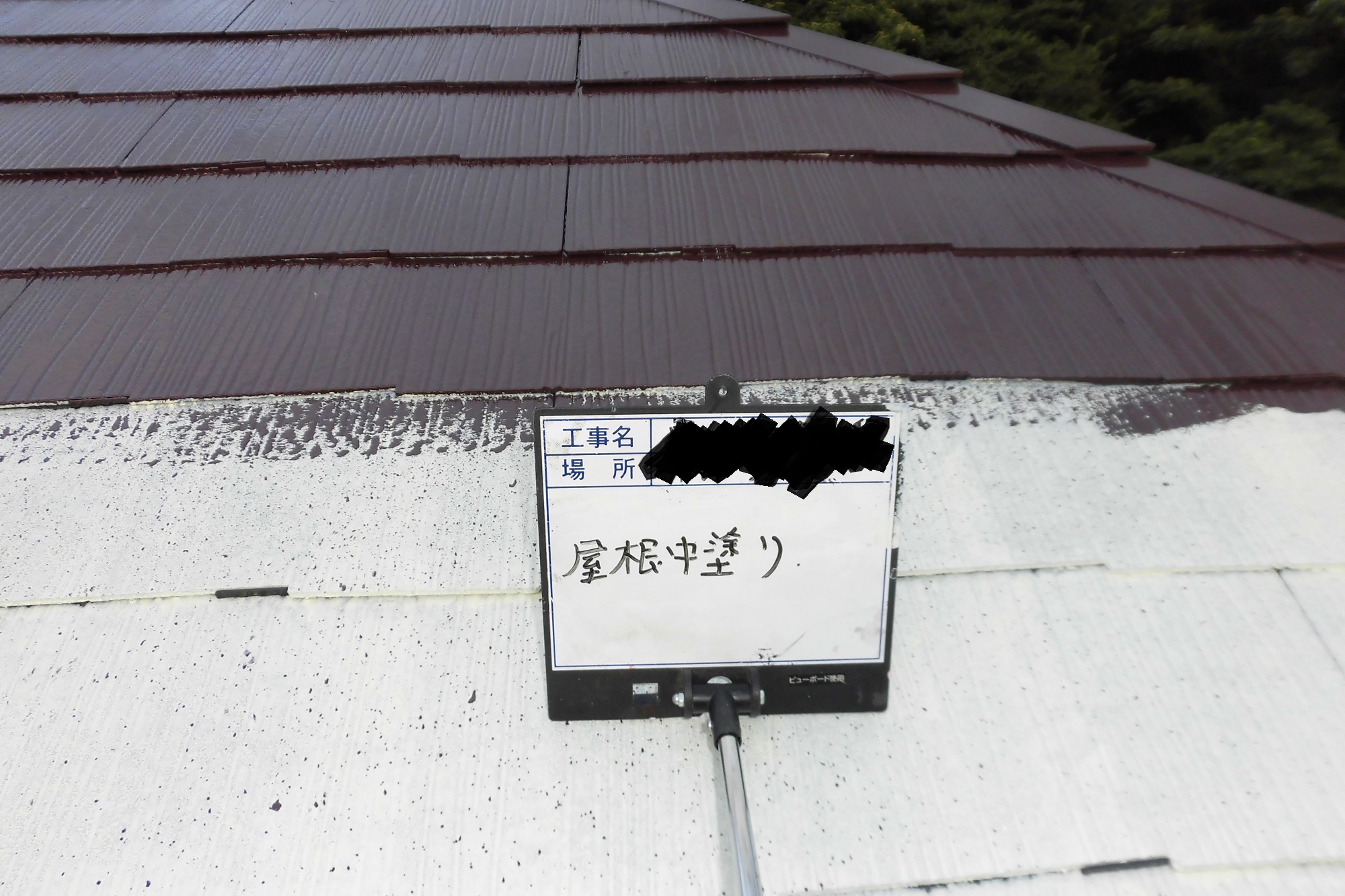 CIMG0243
