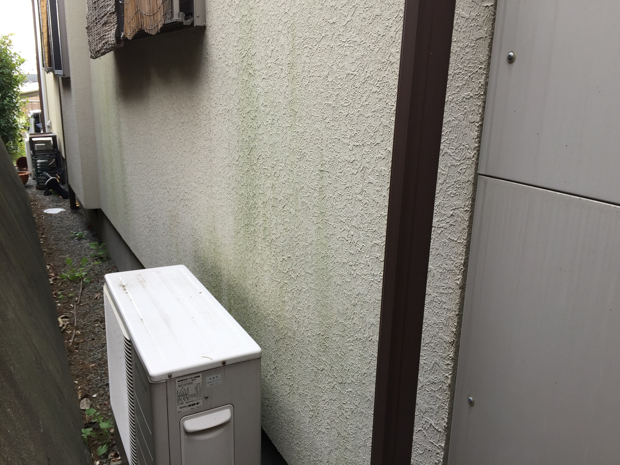モルタル　外壁　苔