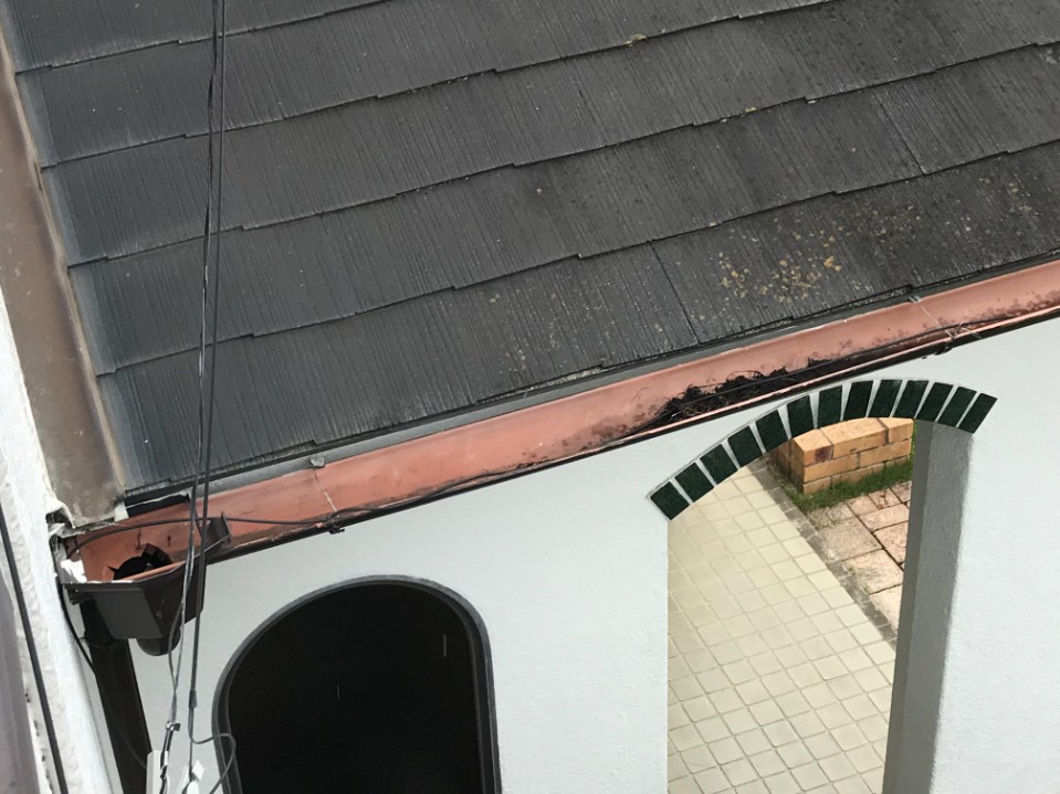 雨樋 雨漏り 台風