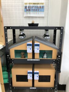 遮熱　断熱　効果　体験