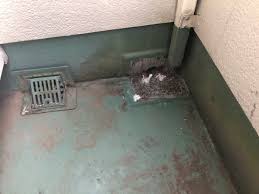 雨漏り　排水溝