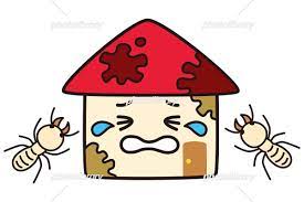 塗装　クラック補修