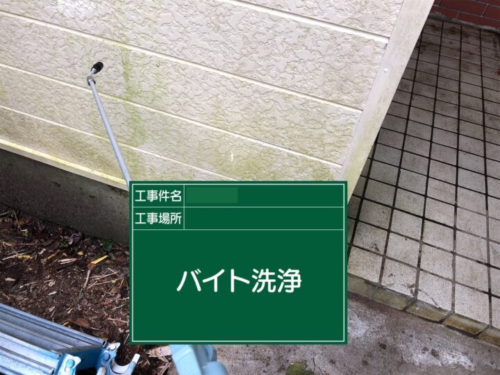バイオ洗浄