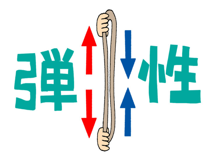 弾性